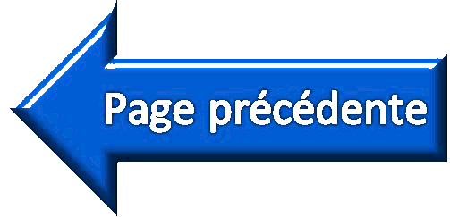 Retour page précedente